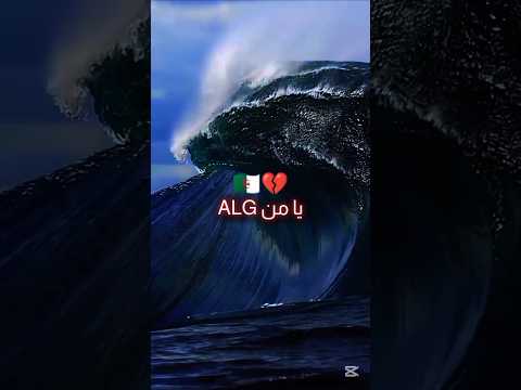 أفضل أغنية هذا العام اغاني اغاني جزائرية Moteur Moteur40 غزة