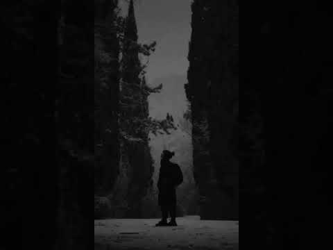 Alone الوحده والعزله حالات