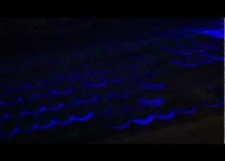 PC Update Razer Lycosa And Asus ML249H Monitor
