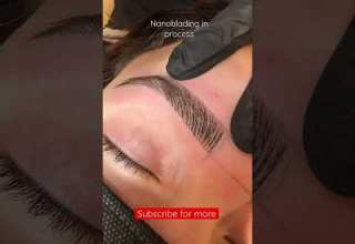 Nanoblading Semi Permanent Makeup For The Eyebrows Shorts Nanoblading Microblading Browsbyarti