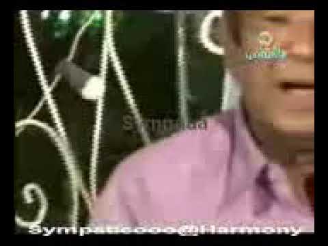 محمد وردي اماسي الغربة