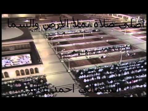 السماني احمد عالم اصلي صلاة تملأ الأرض والسما السماني احمد عالم اصلي صلاة تملأ الأرض والسما