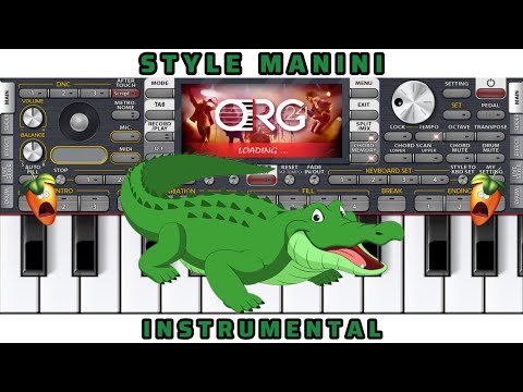 Style Manini Sehar ORG 24 Instrumental Rai