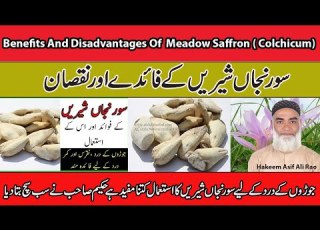 Benefits And Disadvantages Of Meadow Saffron Colchicum Suranjan Shirin Ke Fayde Aur Nuqsaan