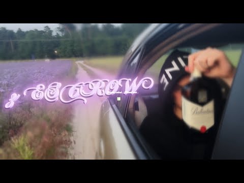 RARED MOLIERA2 VIDEO