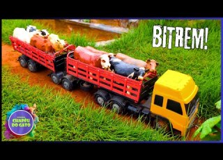 The Cattle Arrived In A Double Trailer Truck At The New Farm