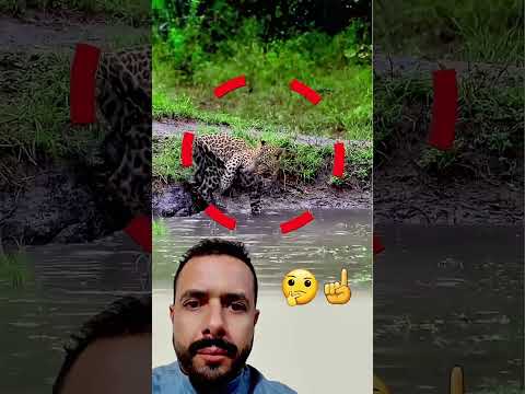 رغم هيبته فهد يفاجئ الجميع بتصرف عفوي وغير متوقع Youtubeshorts