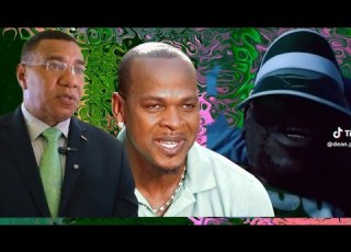  Labourite Dis Vagas Wicked