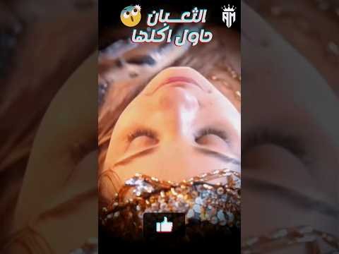 بنت لقت ثعبان واهتمت بيه لاكنه كلها في الاخر قصة حقيقية قصص معلومات قصص واقعية