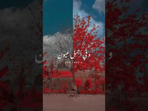 ابو عيون جريئة عبد الحليم حافظ بدون موسيقى