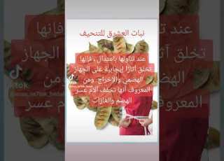 نبات العشرق للتنحيف