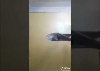  ياربي السلامة