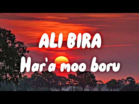 Ali Bira Har A Moo Boru Lyrics Oromo Music