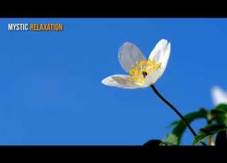  A Feather Touch Of Zen Deep Relaxation Music