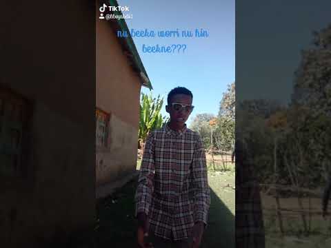 Mahandis Galatoo Oromo Music Challenge Nuu Beekaa Mahandis Galatoo Oromo Music Challenge Nuu Beekaa