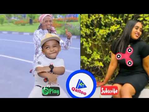 Sabrin Jamal Cover Oromoo Music2026 Official Video