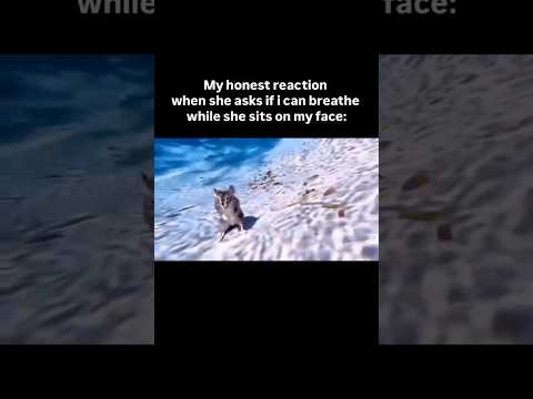 He S Not Dead He S Just Chill Like That Meme Memes Rock Music Shorts Goth