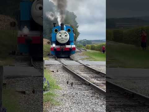 طيط طيط ماشينة