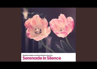  Soothing Melodies