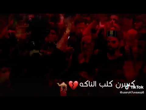 ستوري مرتضى حرب ونيت ويناتي