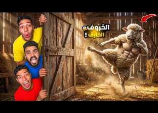  لما تشتري خروف العيد ويطلع مصارع ويتحول وير المزرعة عليكم L مصطفي الطوخي