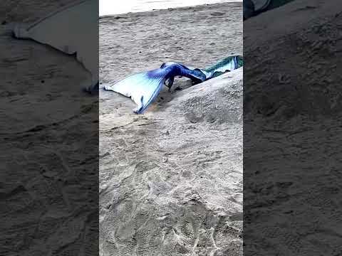 Kadal Kanni Real Video In Washington Beach Mermaid Seamermaid