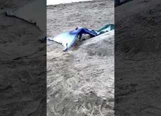  Kadal Kanni Real Video In Washington Beach Mermaid Seamermaid