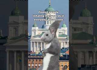When Finns Speak Finland