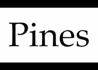  How To Pronounce Pines
