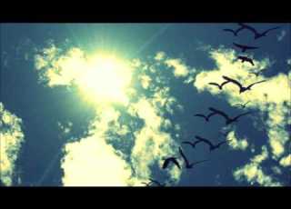  De Hofnar Vogelvlucht