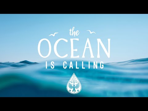 The Ocean Is Calling A Coastal Indie Pop Folk Playlist