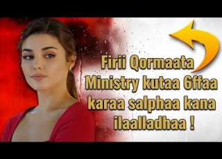  Firii Qormaata Ministry Kutaa 6ffaa Karaa Salphaa Kana Ilaalladhaa