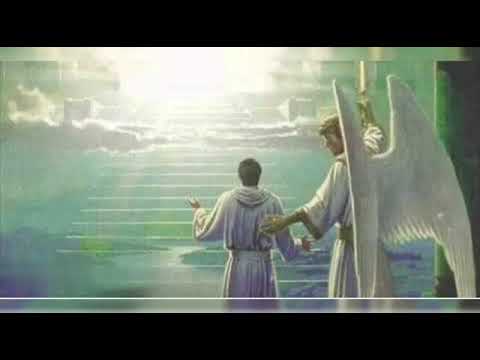 انا رايح وطنى