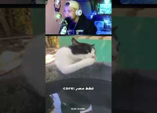 بتعمل ايه يا عصام ابو درش Shorts ضحك Viral Pyf Tiktok Funny Cat Cats Catvideos