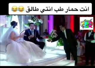 انت حمار طب انتى طالق