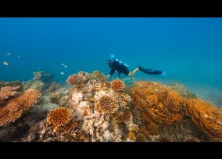 Conrad Maldives Is Now A PADI Eco Center