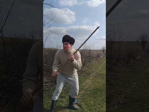 Țaaaaa Boală Comedy Pamflet