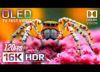Ultimate New TV Test Experience 16K HDR 120fps Dolby Vision For 8K OLED QLED TV
