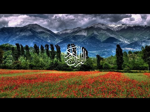 Wadi Al Yamani Surat Yusuf