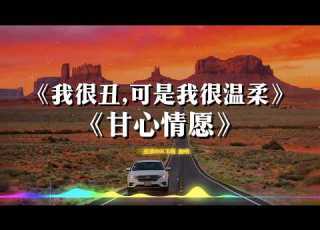 我很丑 可是我很温柔 甘心情愿 ROCK版翻唱 升KEY高音献唱 国语经典歌 华语经典 Chinese Nostalgic Song Covers