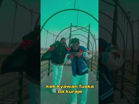 Bash Neh Pha X Adam A Zango Jeje Viral Video