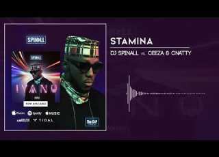  DJ Spinall Stamina Ft Ceeza Cnatty AUDIO