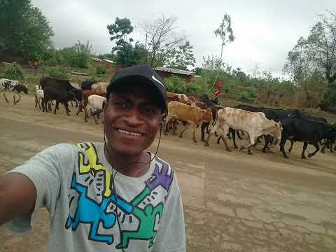 Delebeni Official Audio By Sherixtada Ick