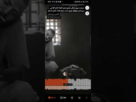 صبحت ببيع و شكلي هضيع عمرو قطه