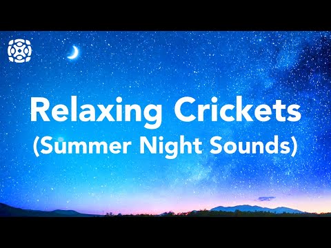 Night Time Summer Nature Sounds Cricket Conversations For Sleeping 12 Hours