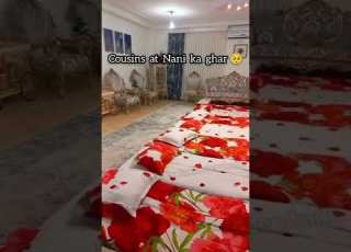  Cousin S At Nani Ka Ghar