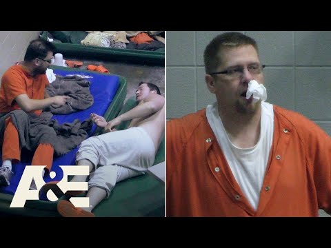 60 Days In Top 5 Tap Outs A E