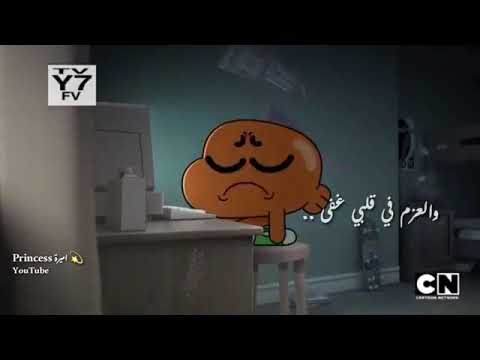 غامبول وداروين حلمي تحطم واختفى