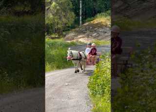 Ella Drives Soria In Her PINK Wagon Shorts Horse Pink