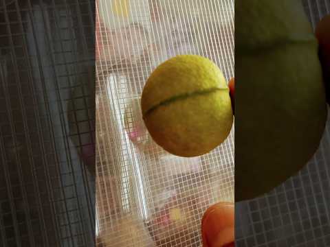 एकध र ल ब